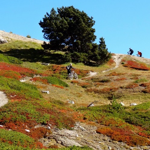 tour vtt du Queyras, Séjour vtt enduro dans le Queyras, Enduro Trip Queyras, Queyrastafary, Grande traversée des Hautes-Alpes