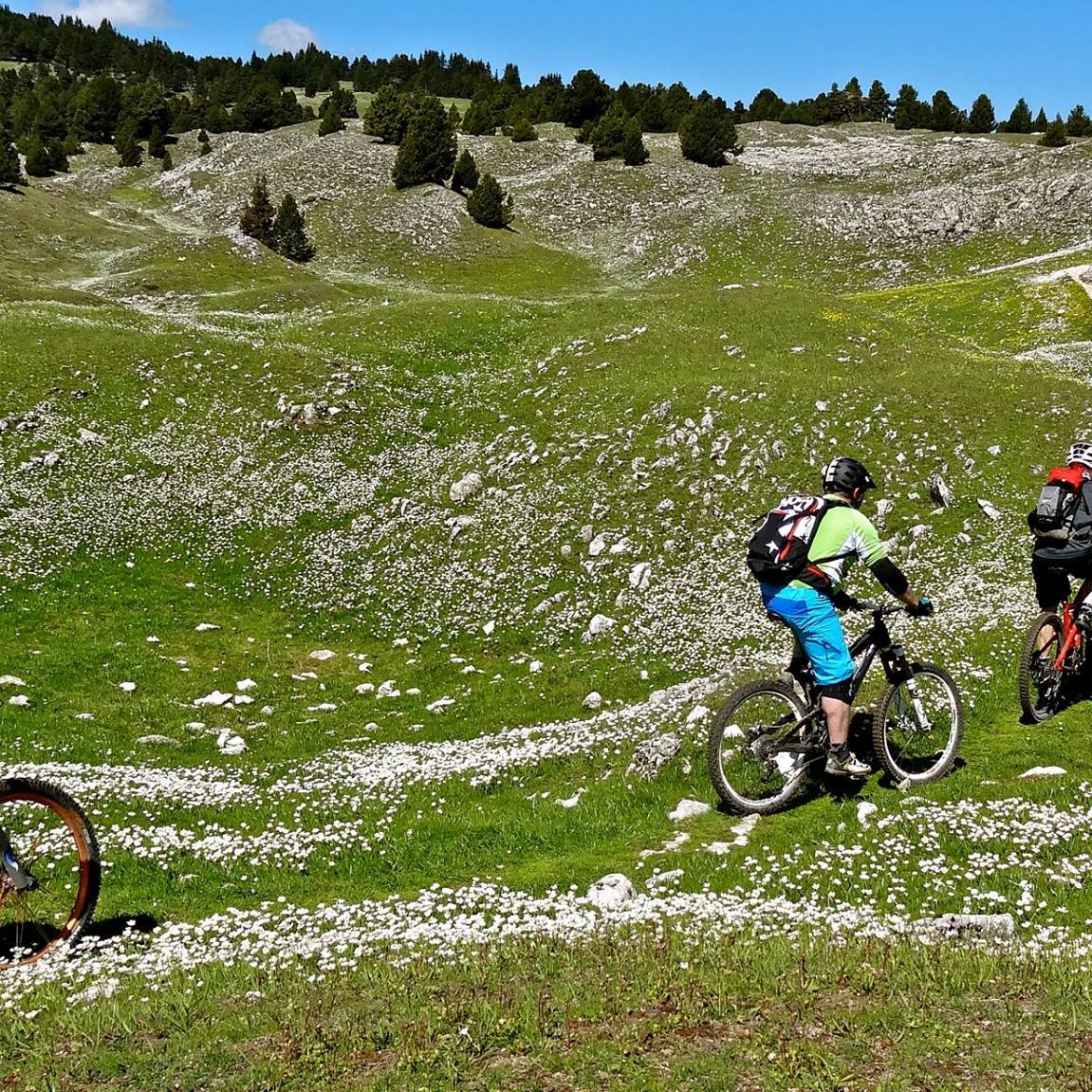 séjour vtt dans le diois, grande traversée vtt du vercors, Grande traversée du Vercors, Enduro Trip® Pays Diois, la bonne étoile du Diois, le Gratin dauphinois à vtt, séjour vtt enduro dans le diois, Grande traversée du Vercors, Enduro Trip® Pays Diois, la bonne étoile du Diois, le Gratin dauphinois à vtt, séjour vtt enduro dans le diois