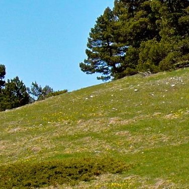 séjour vtt dans le diois, Grande traversée du Vercors, Enduro Trip® Pays Diois, la bonne étoile du Diois, le Gratin dauphinois à vtt, séjour vtt enduro dans le diois