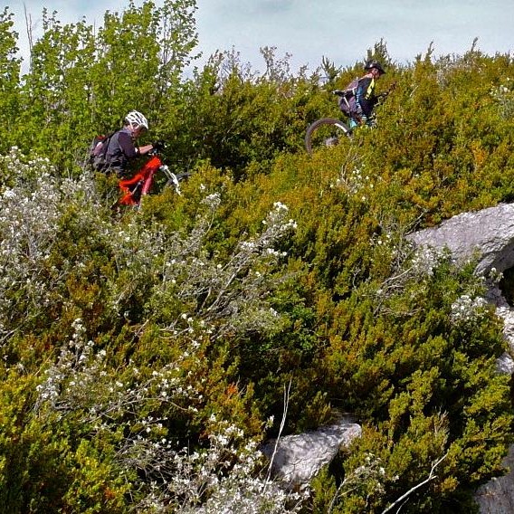 séjour vtt dans le diois, Grande traversée du Vercors, Enduro Trip® Pays Diois, la bonne étoile du Diois, le Gratin dauphinois à vtt, séjour vtt enduro dans le diois