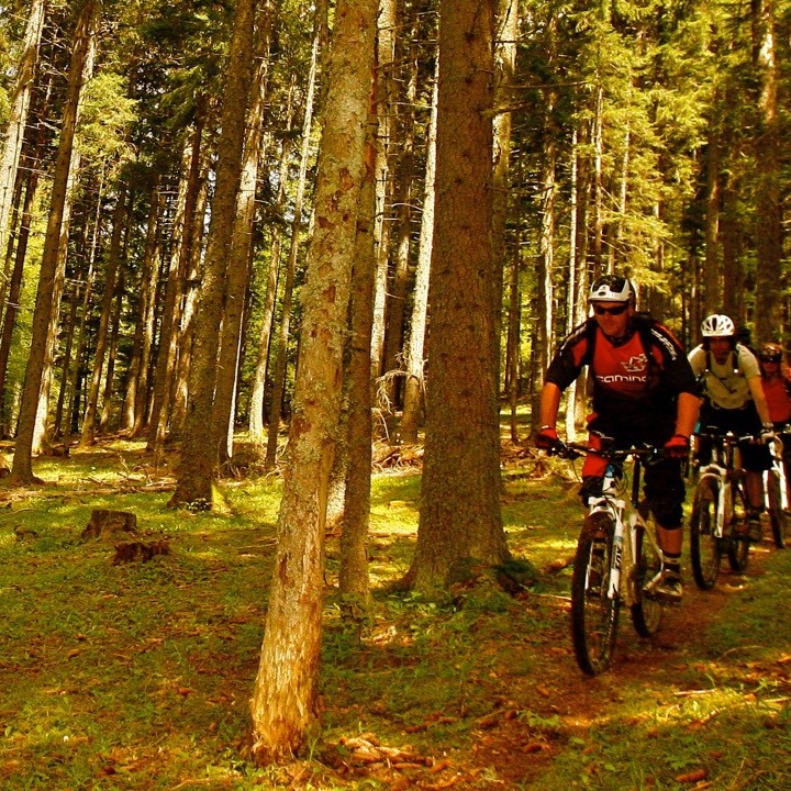 grande traversée vtt du vercors, Grande traversée du Vercors, Enduro Trip® Pays Diois, la bonne étoile du Diois, le Gratin dauphinois à vtt, séjour vtt enduro dans le diois, Grande traversée du Vercors, Vercors singletracks, Enduro Trip® Vercors, le Gratin dauphinois à vtt